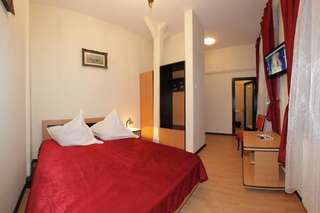 Отель Hotel Stavilar Синая Стандартный двухместный номер с 1 кроватью или 2 отдельными кроватями-12